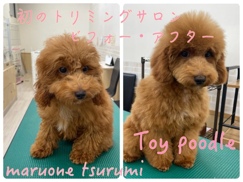 純喫茶 ドロップ